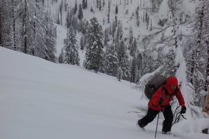 1-Day Avalanche Science Snowmobile Assisted Backcountry Ski Guiding  for 1-2 Participants