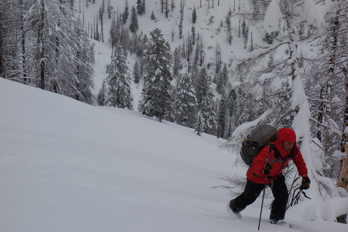 1-Day Avalanche Science Snowmobile Assisted Backcountry Ski Guiding  for 1-2 Participants
