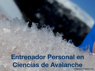 2-Day Personal Avalanche Science Coach - Chile