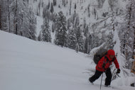 1-Day Avalanche Science Backcountry Ski Guiding for 1-2 Participants