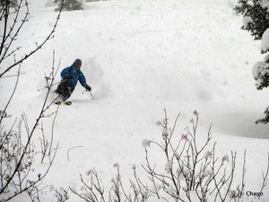 Avalanche Science REC1+ (January 21-23, 2022)