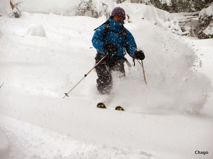 1-Day Avalanche Science Backcountry Ski Guiding for 3-4 Participants