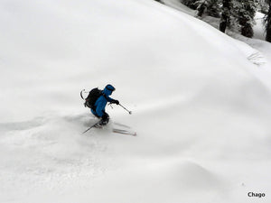 Avalanche Science PRIVATE REC1+ (February 11-13, 2022)
