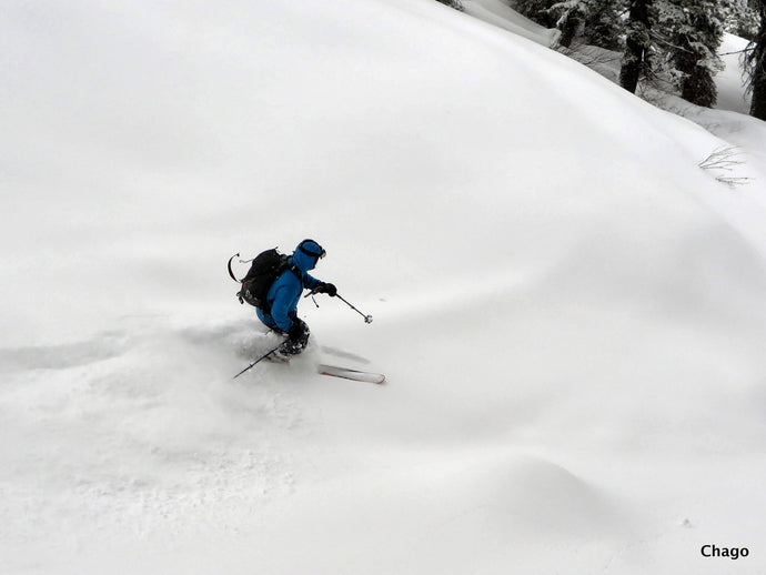 Avalanche Science PRIVATE REC1+ (February 11-13, 2022)