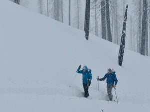Private Course: Avalanche Level 1  (5 participants)