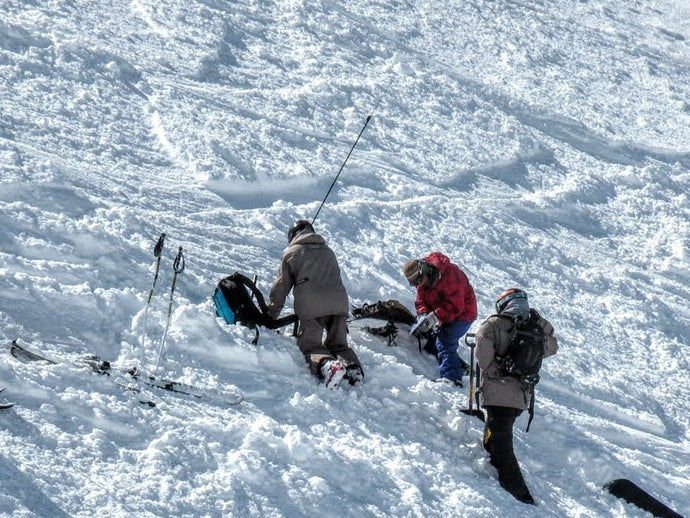 1-Day Ski Touring and Avalanche Skills Refresher (4 participants)