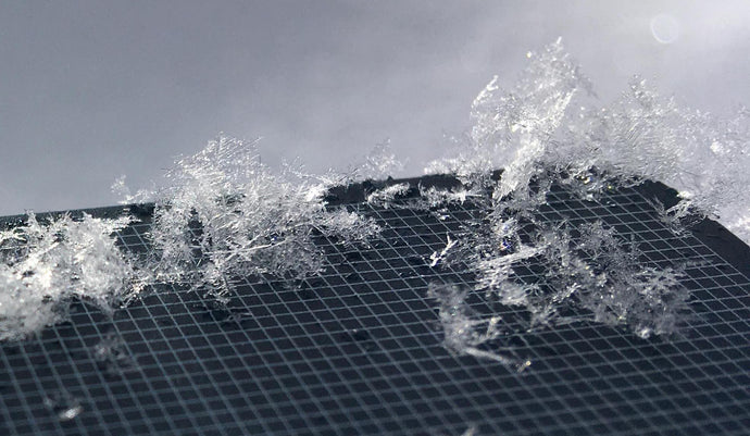 Avalanche Science REC1+ (March 3-5, 2023) - END OF SEASON DISCOUNT $650