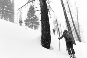 REC1+ Course January 25-28, 2020